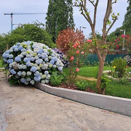 Garden House Ramalde Villa Porto Bagian luar foto