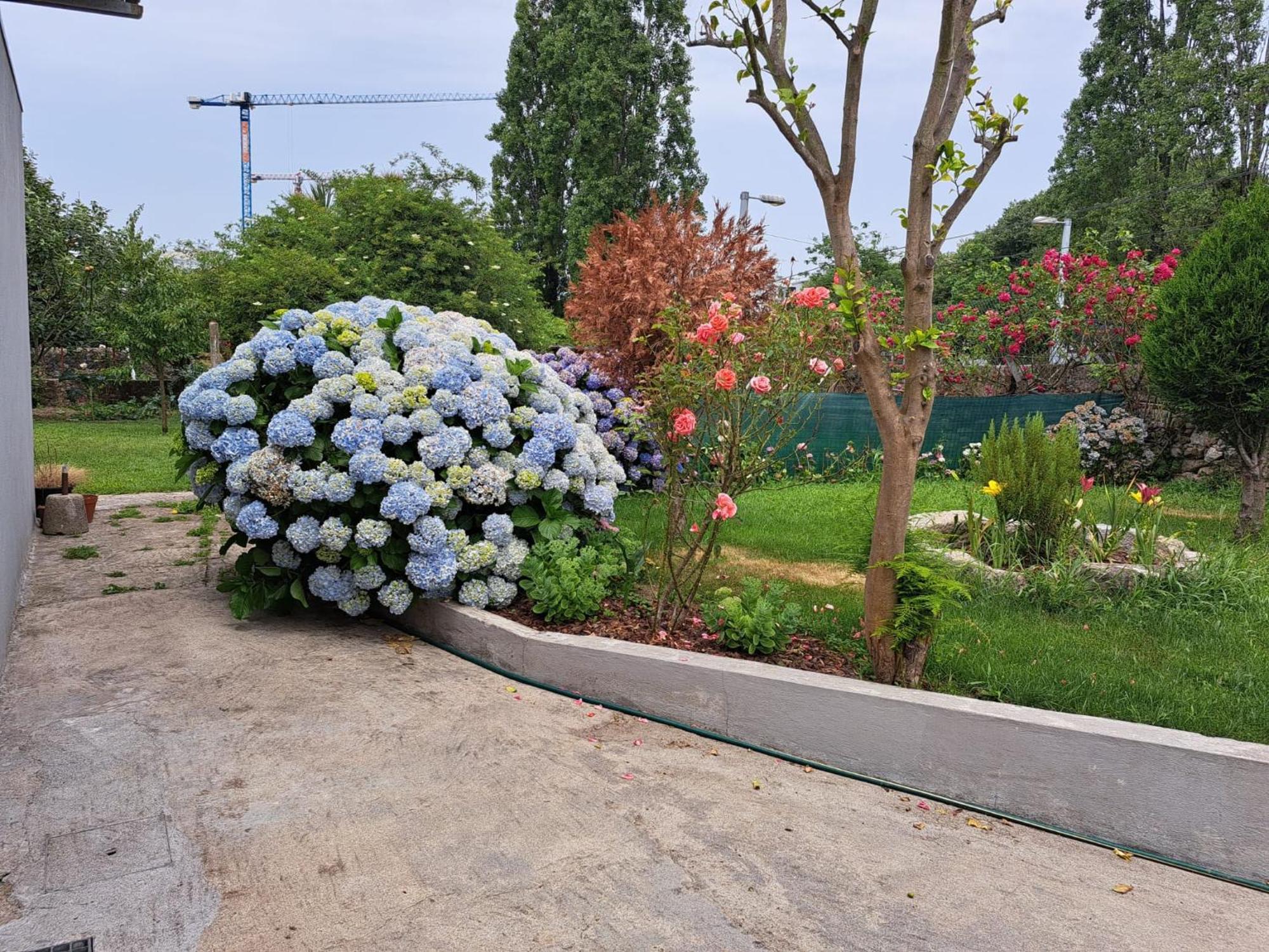 Garden House Ramalde Villa Porto Bagian luar foto